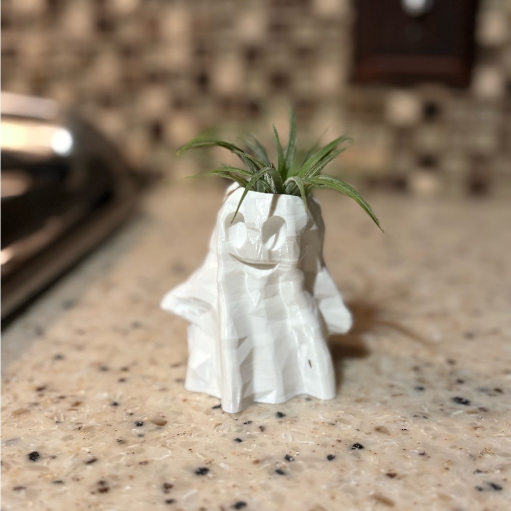White Planter for Air Plant